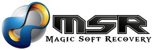 Magic Soft Data Recovery Software Logo